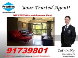 Blk 88 Telok Blangah Heights (Bukit Merah), HDB 5 Rooms #127472552